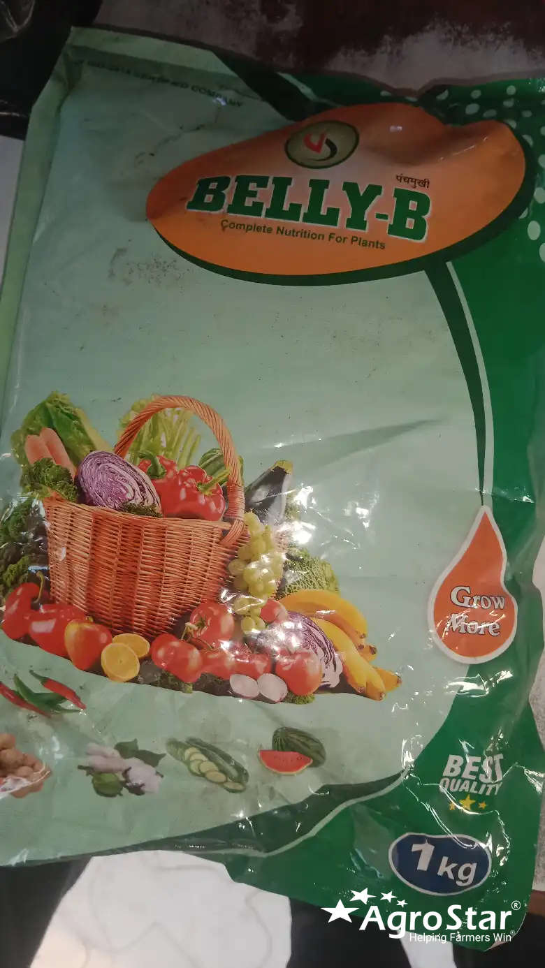 [object Object]